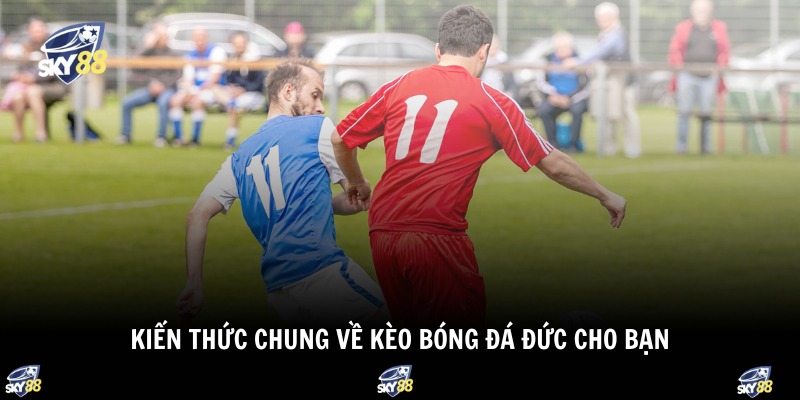 Kiến thức chung về kèo bóng đá Đức cho bạn