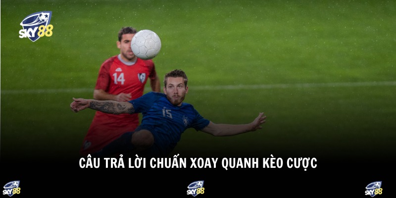 Câu trả lời chuẩn xoay quanh kèo cược