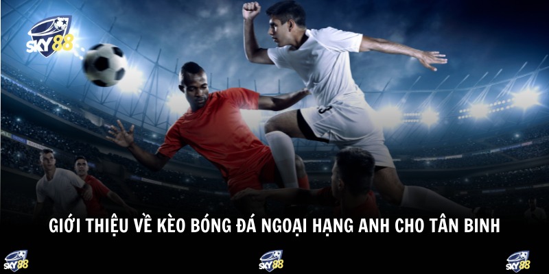 Giới thiệu về kèo bóng đá ngoại hạng Anh cho tân binh