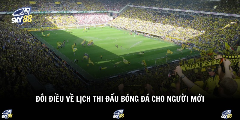 Đôi điều về lịch thi đấu bóng đá cho người mới